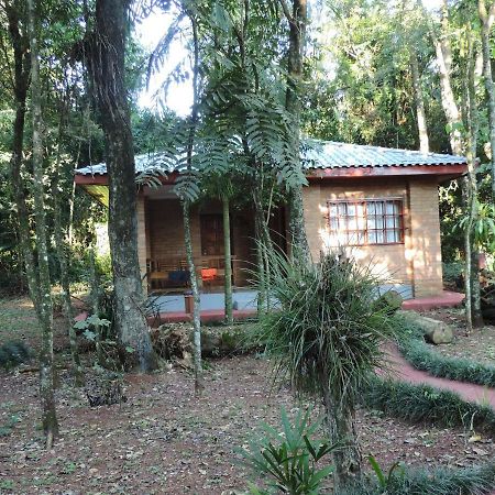 Bagu Iguazu Hotel El Lenador Puerto Iguazú Esterno foto